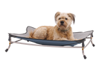 Mt. EverRest™ Dog Cot product image