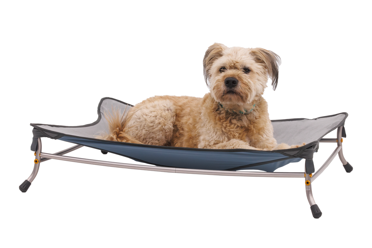 Mt. EverRest™ Dog Cot product image