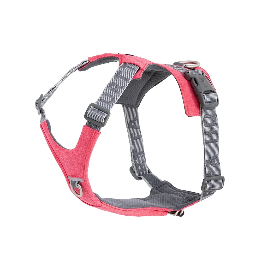 Rover Harness product image