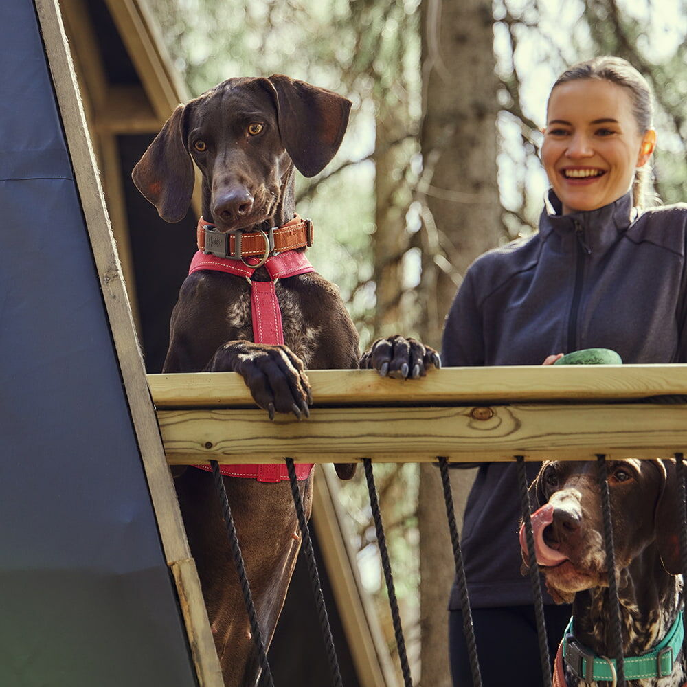 Casual Y-Harness ECO product image