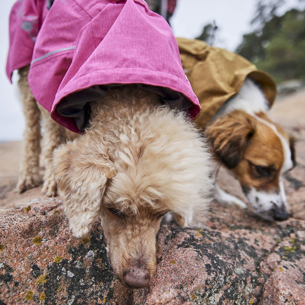 Monsoon Coat II ECO product image