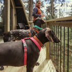 Casual Y-Harness ECO product image