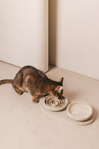 Slow Feeder Bowl for Cats product image