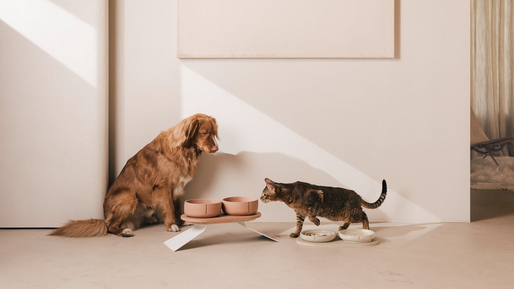 Whisker Friendly Bowl product image