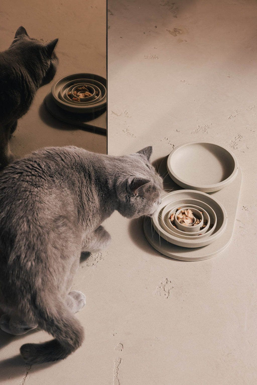 Slow Feeder Bowl for Cats product image