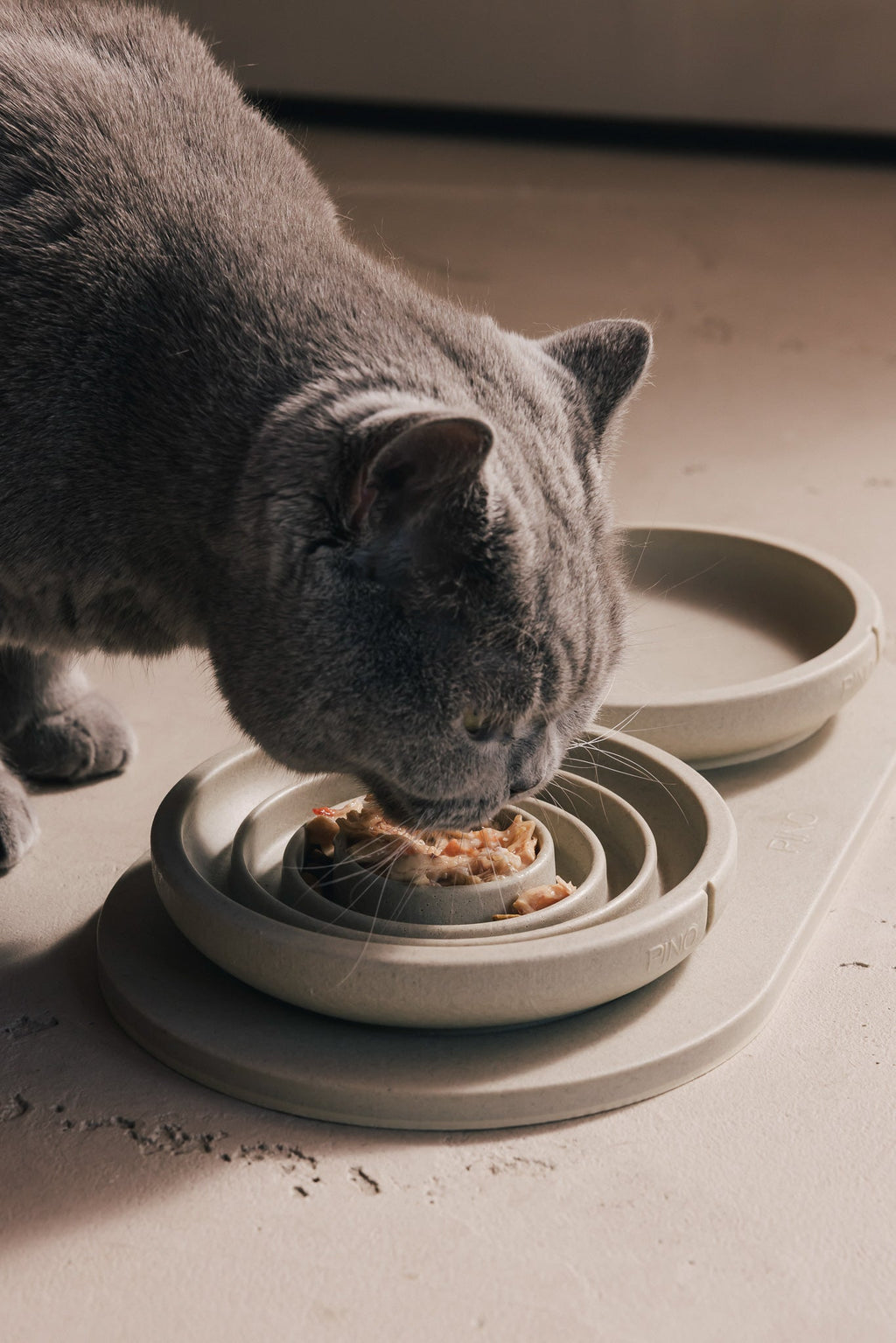 Slow Feeder Bowl for Cats product image