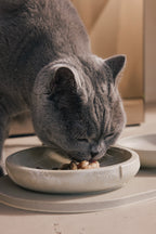 Whisker Friendly Bowl product image