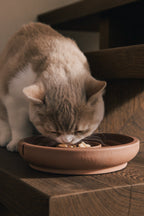 Slow Feeder Bowl for Cats product image