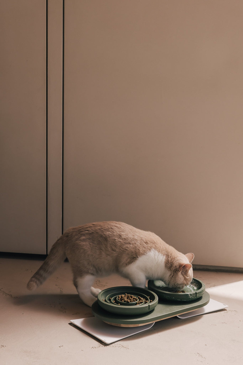 Whisker Friendly Bowl product image