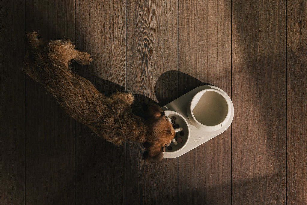 Slow Feeder Bowl product image