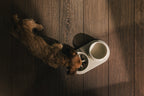 Slow Feeder Bowl product image