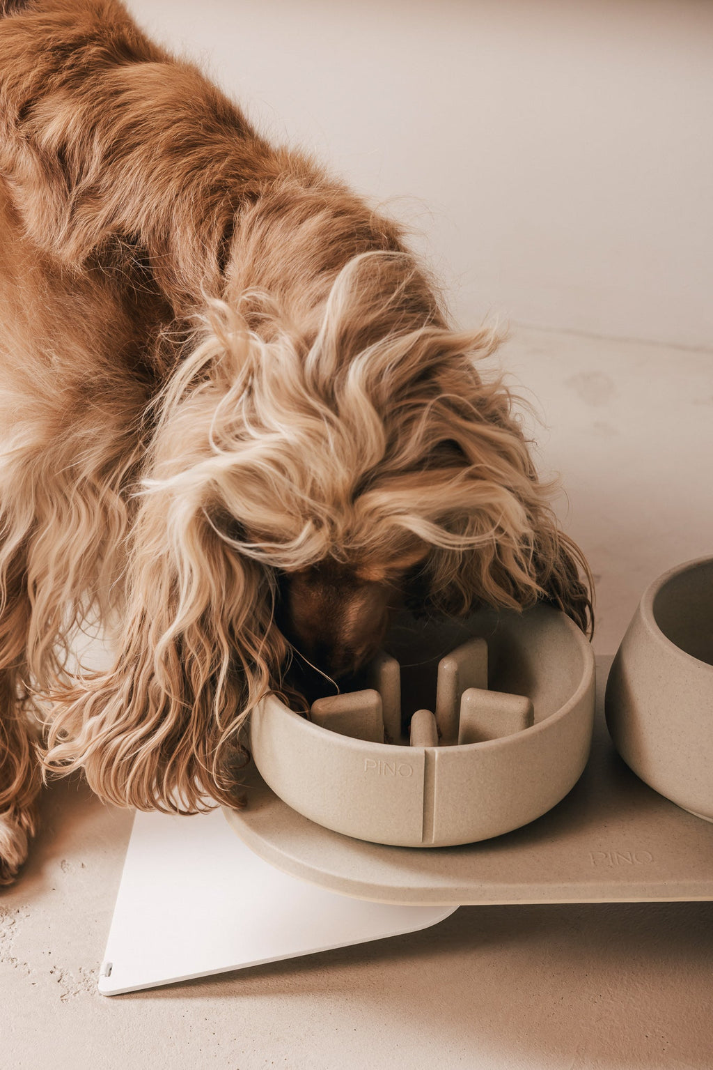 Slow Feeder Bowl product image