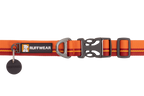 Flat Out™ Dog Collar product image