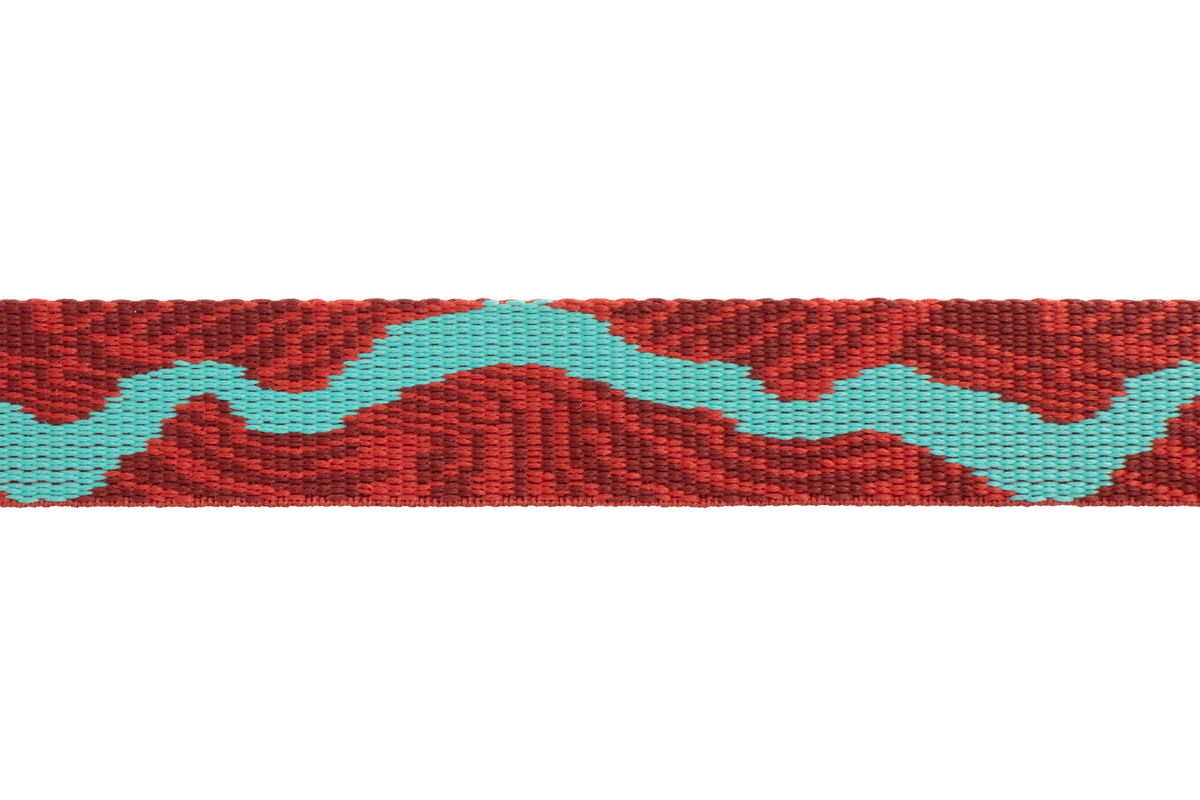 Flat Out™ Dog Collar product image
