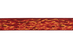 Flat Out™ Dog Collar product image