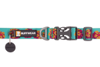 Flat Out™ Dog Collar product image
