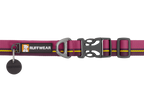 Flat Out™ Dog Collar product image