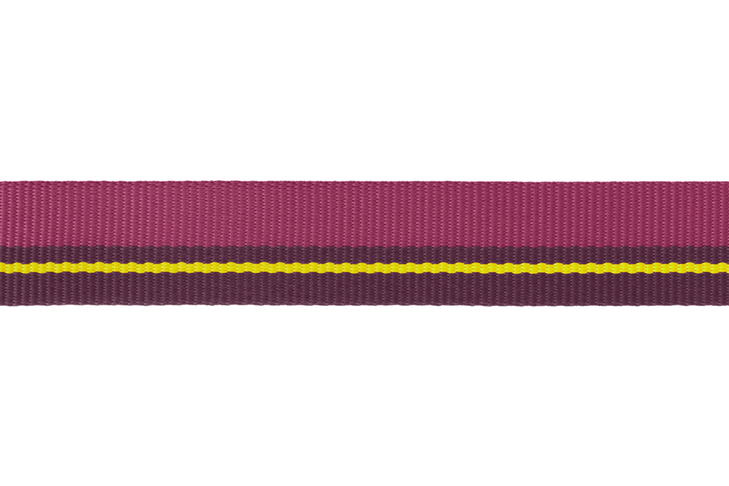 Flat Out™ Dog Collar product image