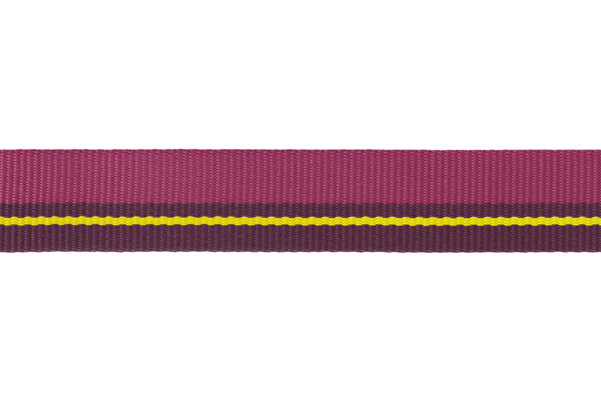 Flat Out™ Dog Collar product image