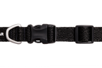 Front Range® Flex Collar product image