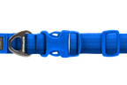 Front Range® Dog Collar product image