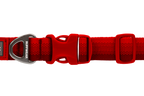 Front Range® Dog Collar product image