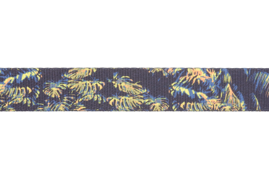 Front Range® Dog Collar product image