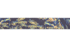 Front Range® Dog Collar product image