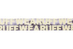Front Range® Dog Collar product image
