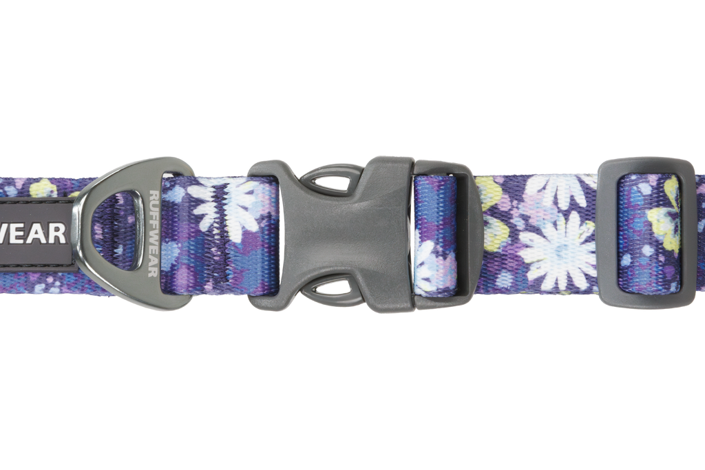 Front Range® Dog Collar product image