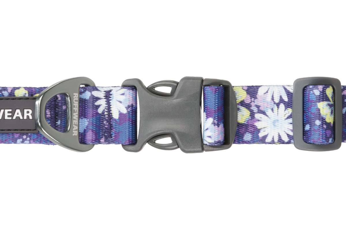 Front Range® Dog Collar product image