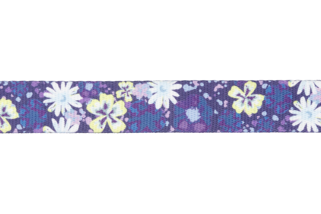 Front Range® Dog Collar product image