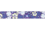 Front Range® Dog Collar product image