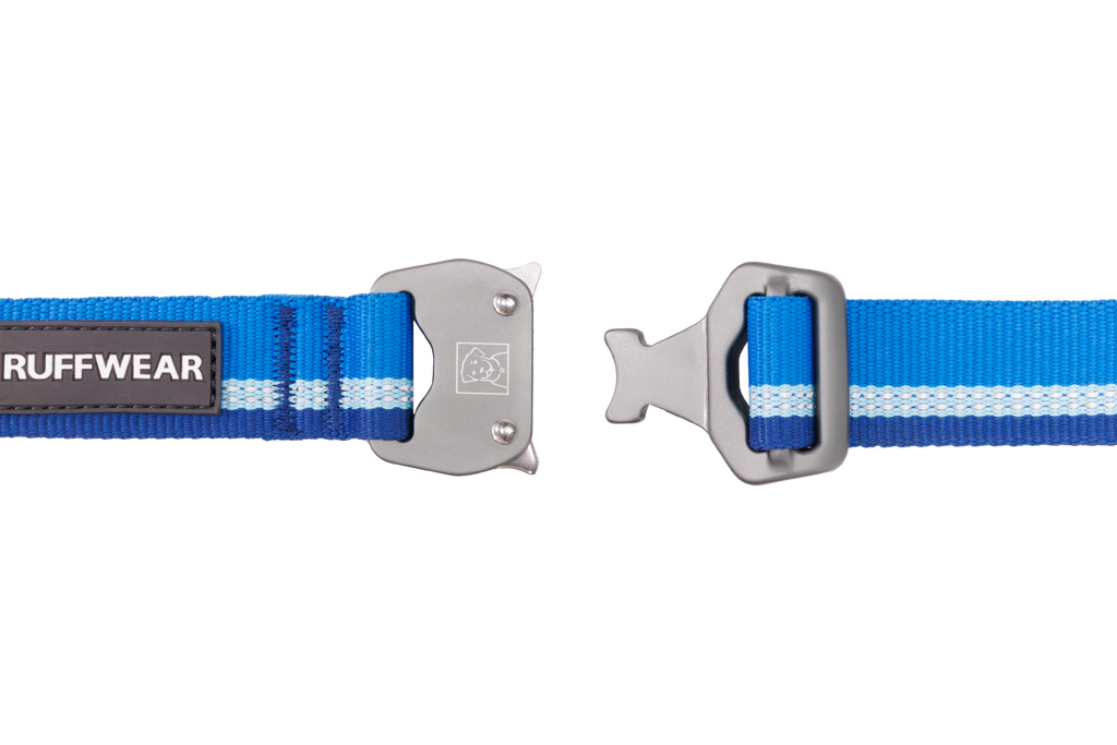 Top Rope™ Metal Buckle Dog Collar product image