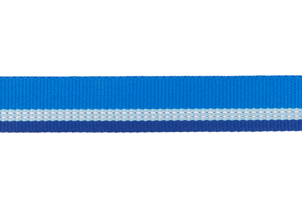 Top Rope™ Metal Buckle Dog Collar product image
