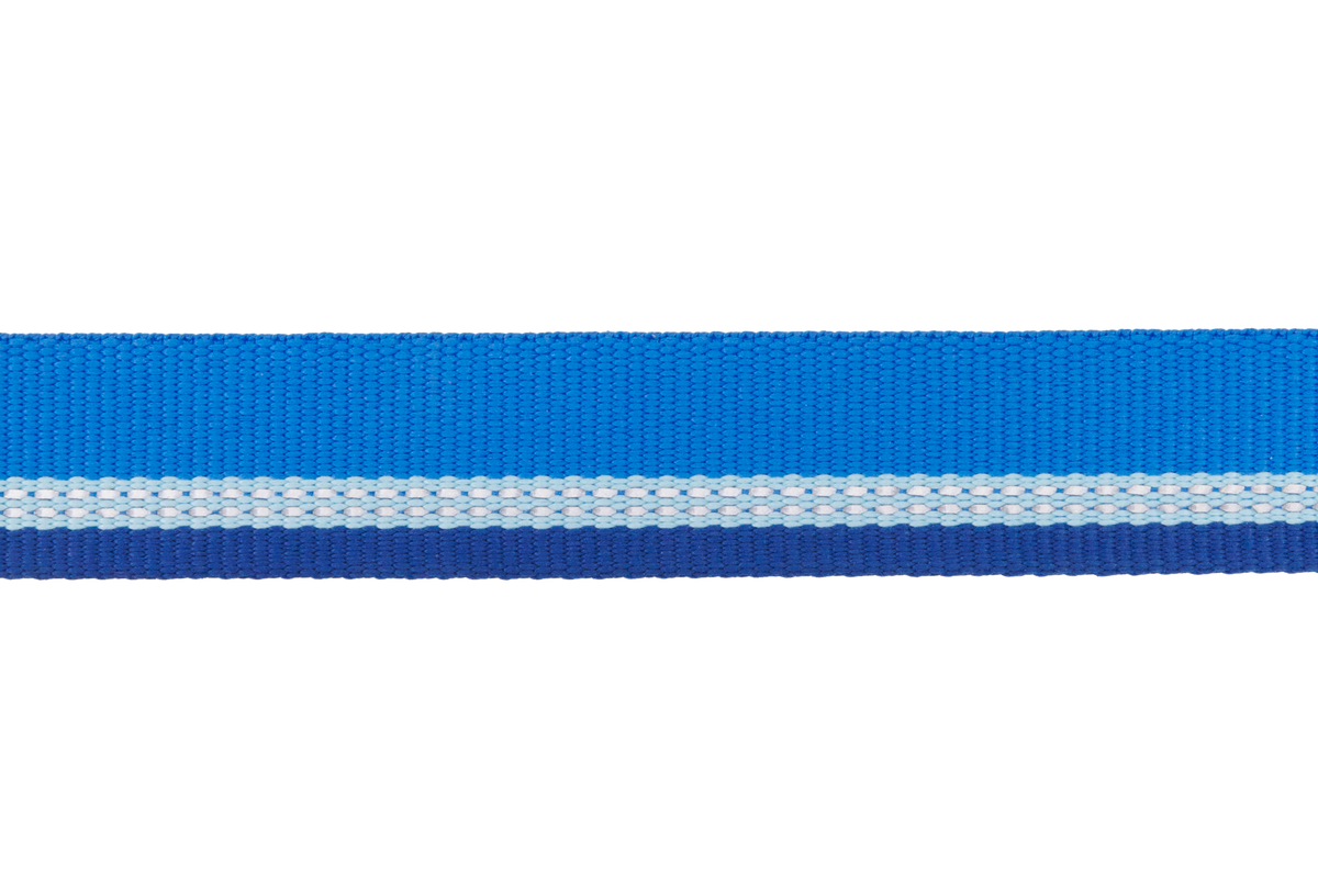 Top Rope™ Metal Buckle Dog Collar product image