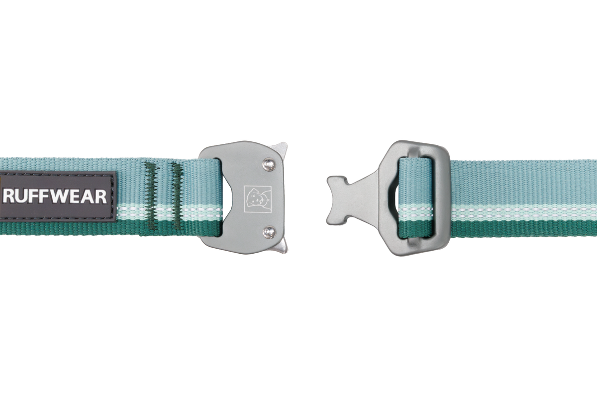 Top Rope™ Metal Buckle Dog Collar product image