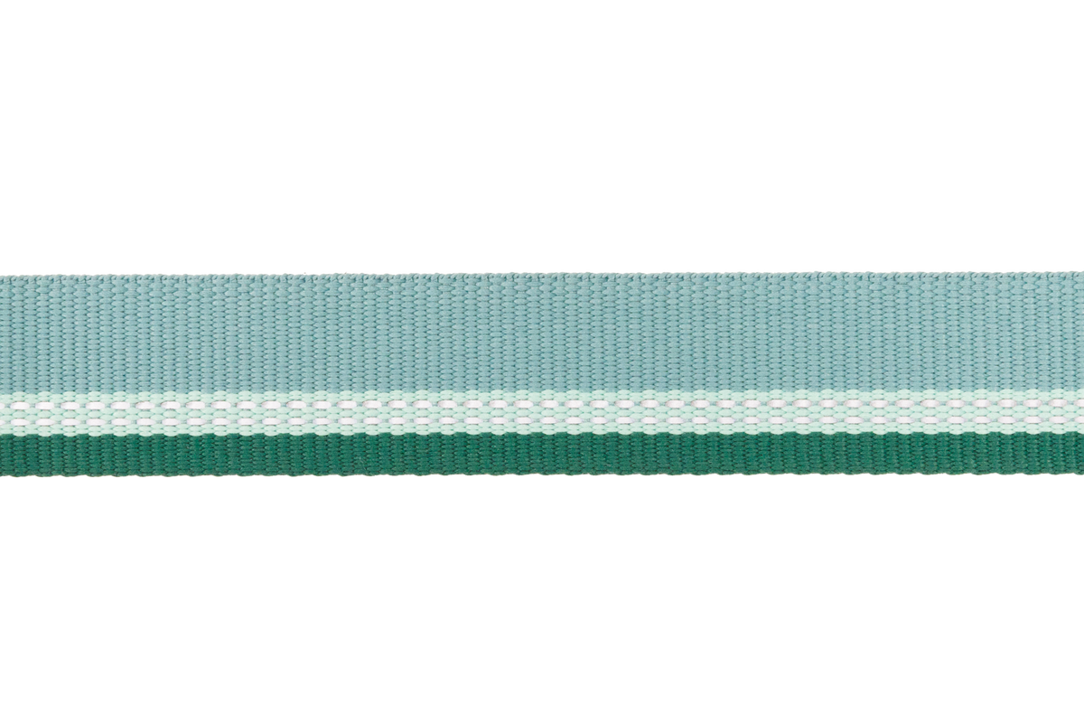 Top Rope™ Metal Buckle Dog Collar product image