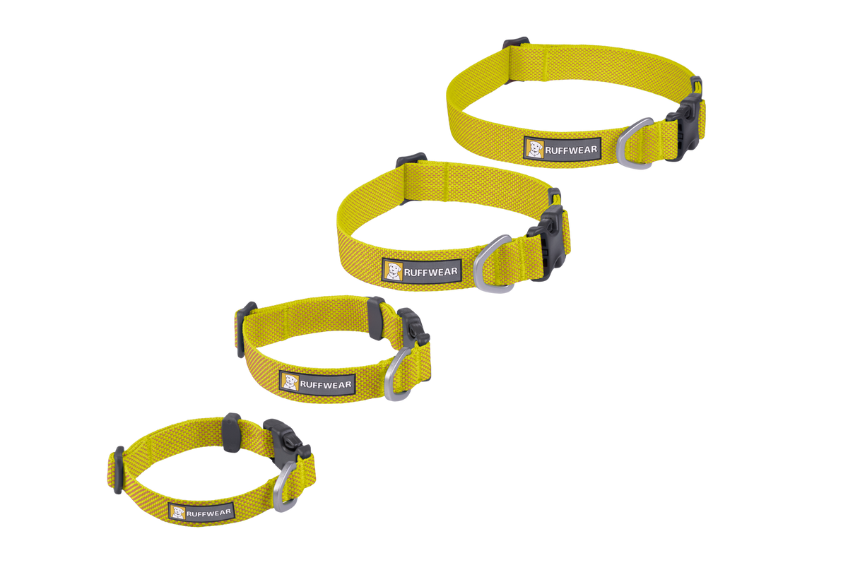 Hi & Light™ Lightweight Dog Collar product image