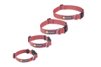 Hi & Light™ Lightweight Dog Collar product image