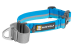 Web Reaction™ Martingale Dog Collar With Buckle product image
