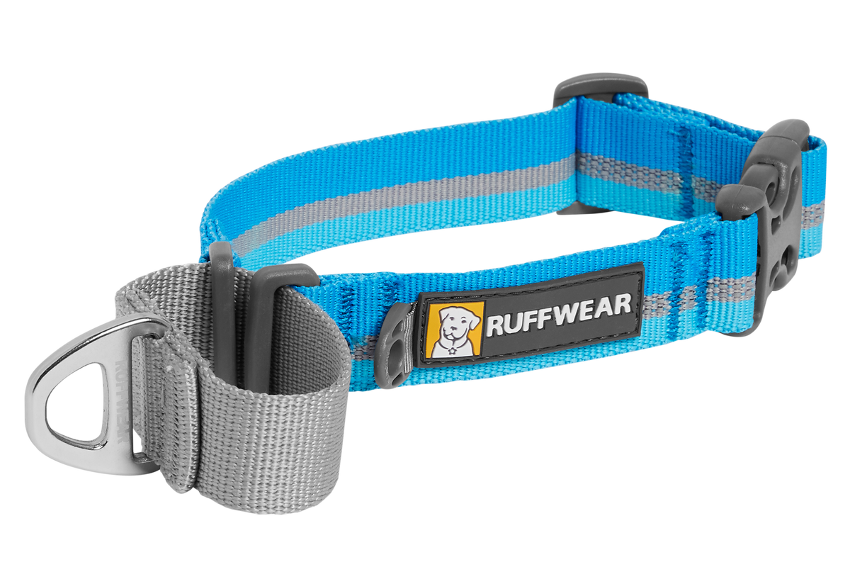 Web Reaction™ Martingale Dog Collar With Buckle product image