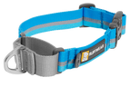 Web Reaction™ Martingale Dog Collar With Buckle product image