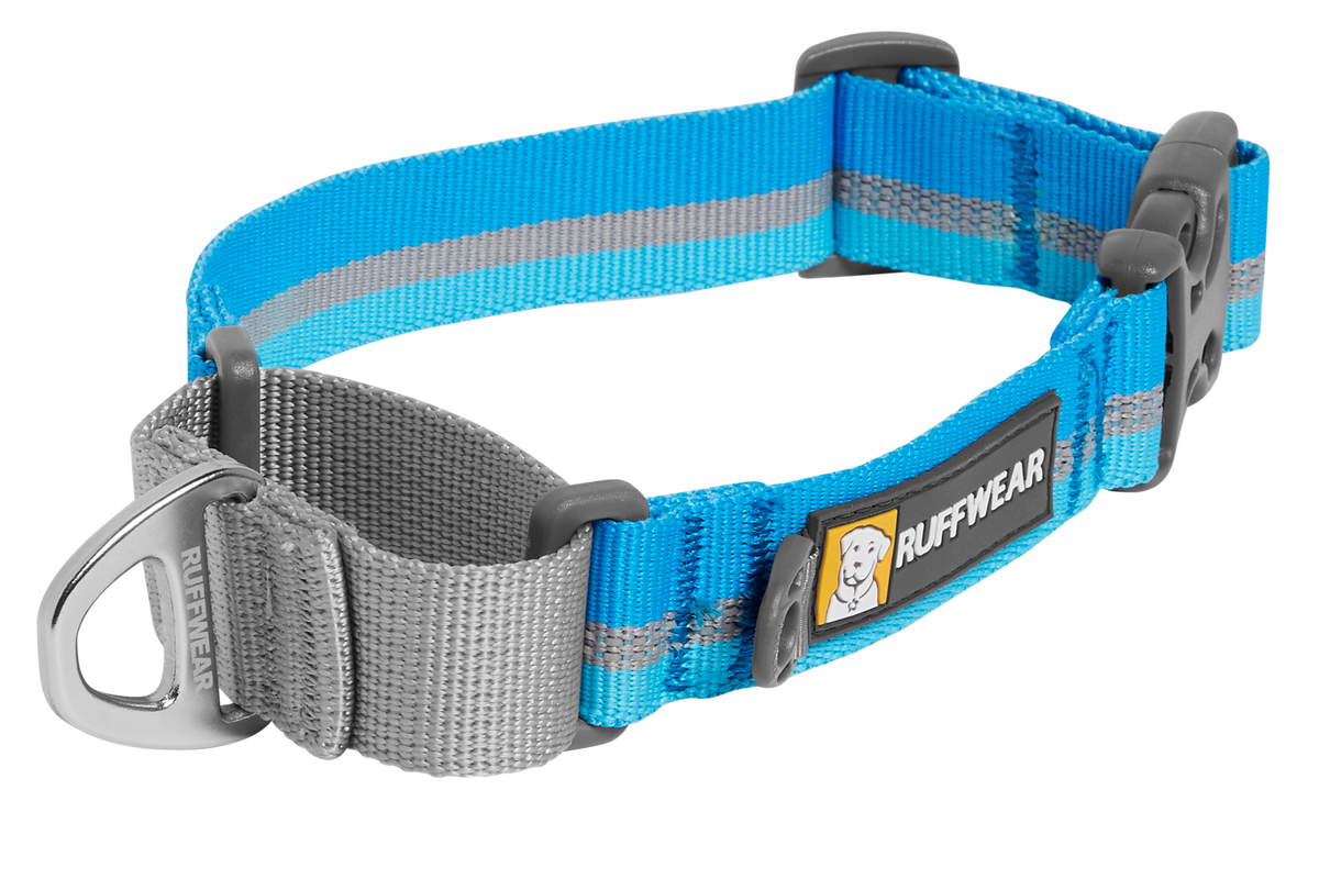 Web Reaction™ Martingale Dog Collar With Buckle product image