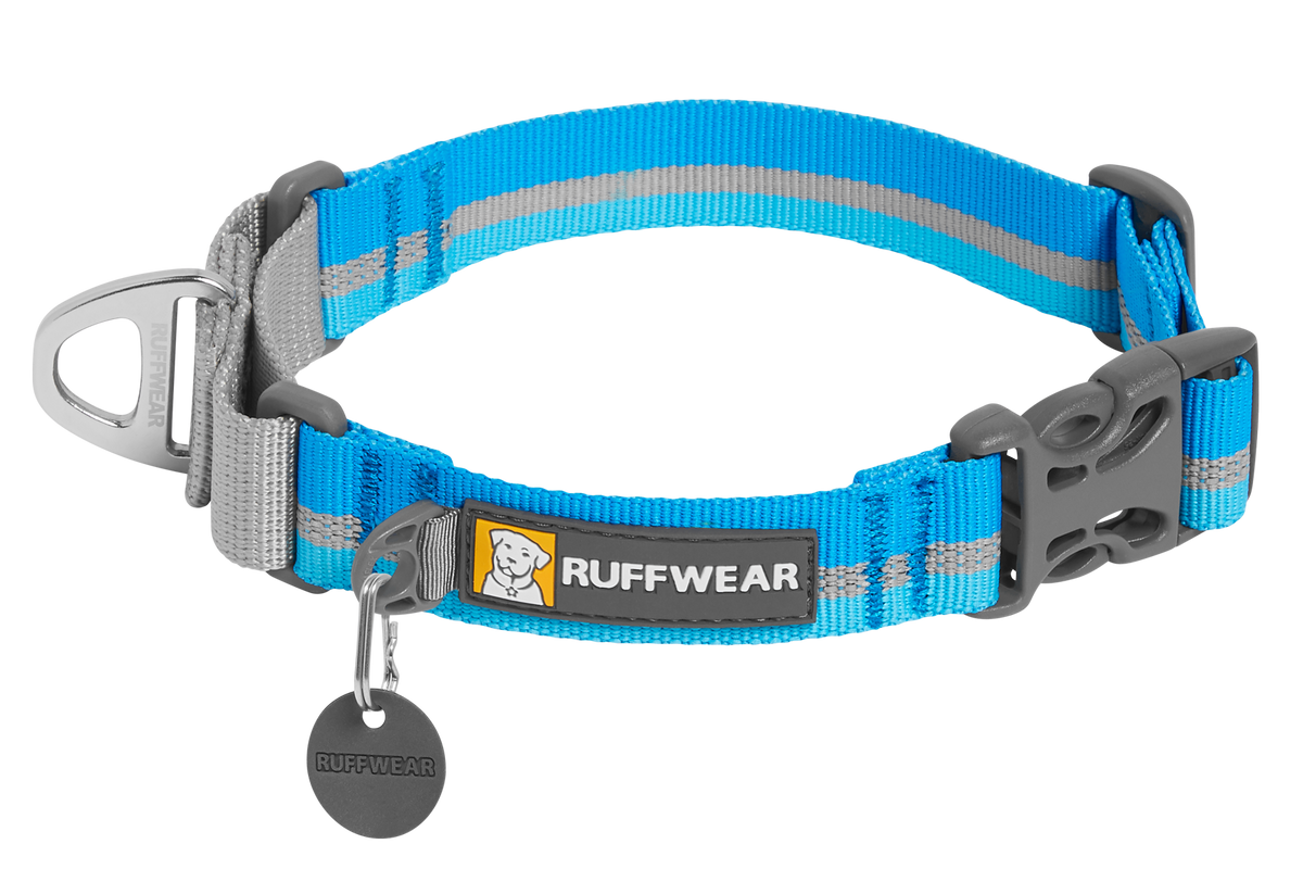 Web Reaction™ Martingale Dog Collar With Buckle product image