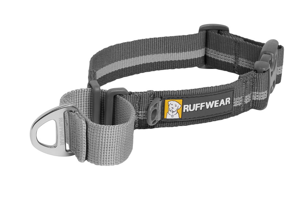 Web Reaction™ Martingale Dog Collar With Buckle product image
