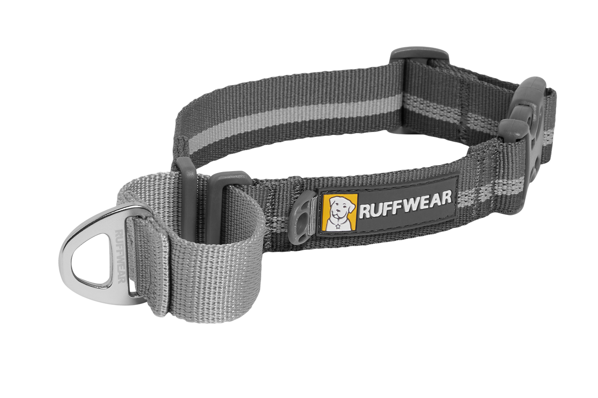 Web Reaction™ Martingale Dog Collar With Buckle product image