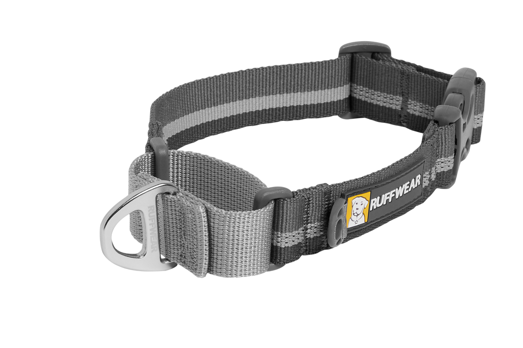 Web Reaction™ Martingale Dog Collar With Buckle product image