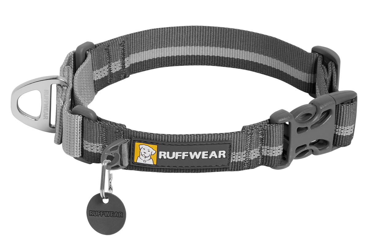 Web Reaction™ Martingale Dog Collar With Buckle product image
