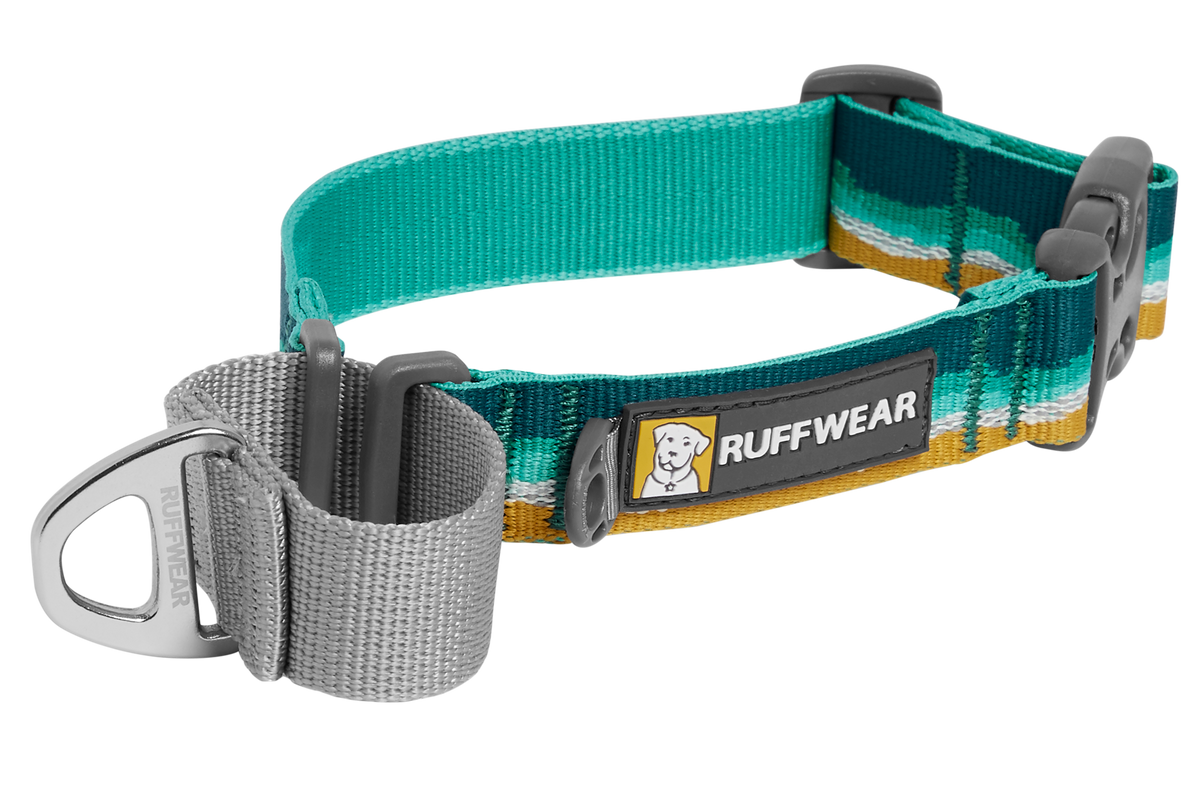 Web Reaction™ Martingale Dog Collar With Buckle product image